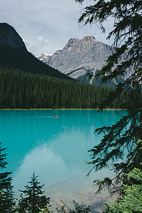 gray personal watercraft on lake thumbnail