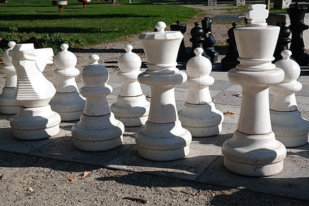white and black chess piece under sunny sky thumbnail