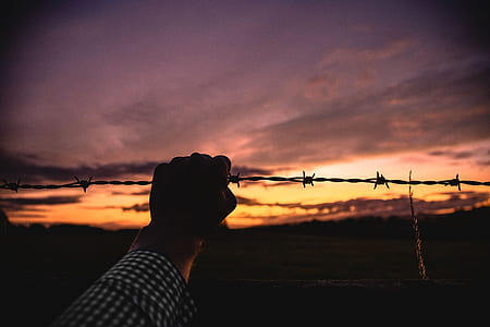 person holding gray barbwire thumbnail