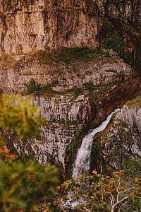 selective focus photography of waterfall in forest thumbnail