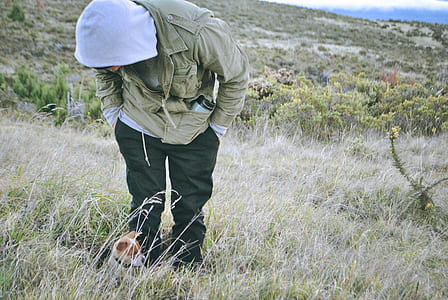 person looking at white and brown puppy thumbnail