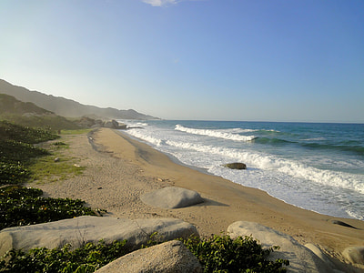 seashore under clear blue sky thumbnail