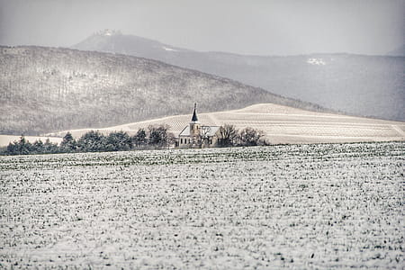 Snow Covered Field thumbnail