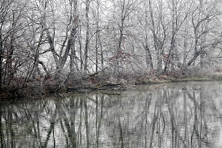 landscape photo of body of water surrounded by trees thumbnail