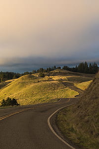 trees covered hills thumbnail