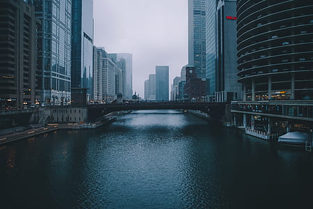 focus photo of gray concrete bridge near high rise buildings thumbnail