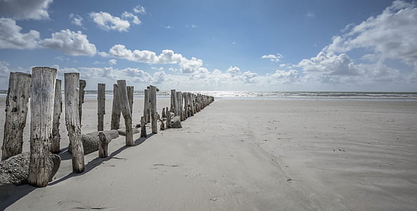 photo of seashore thumbnail