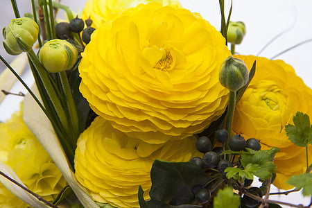 selective focus photography of yellow petaled flower thumbnail