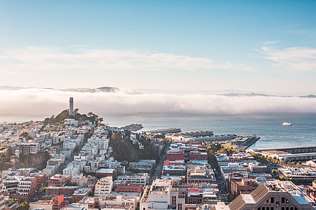 San Francisco Bay Panorama With Coit Tower thumbnail