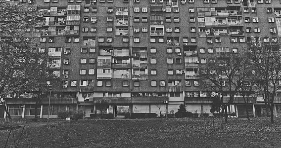grayscale photography of buildings and trees thumbnail