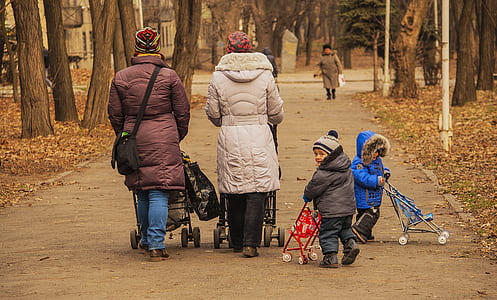 kids and adults walking on park thumbnail