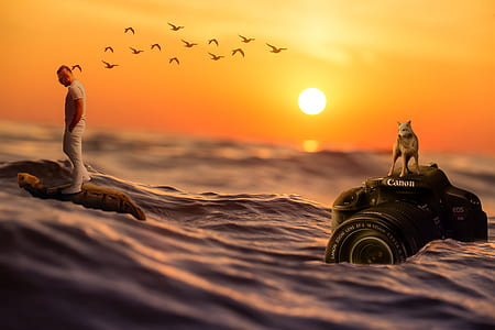 dog on top of Canon EOS DSLR camera on ocean wallpaper thumbnail