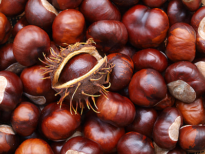 brown fruit lot thumbnail
