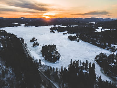 Snowfield Near Green Trees in Aerial Shot thumbnail