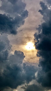 photo of birds flying on sky with nimbus cloids thumbnail