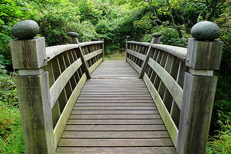 wooden bridge over body of water surrounded by trees thumbnail