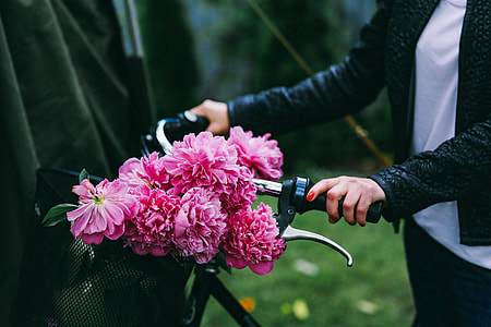 Woman holding a bicycle with beautiful pink flowers in the basket thumbnail