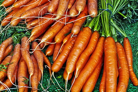 Carrot Vegetables thumbnail