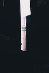 oriental pearl tower building thumbnail