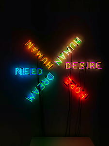Human NEON signage mounted on wall thumbnail