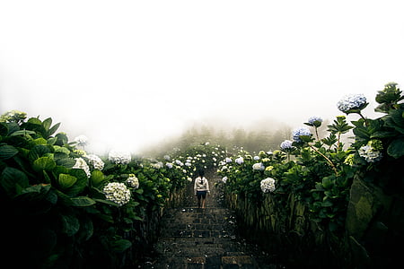 woman in flower fields thumbnail