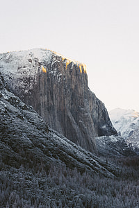 snow-covered mountains and trees thumbnail