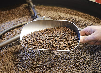 person scooping coffee beans thumbnail