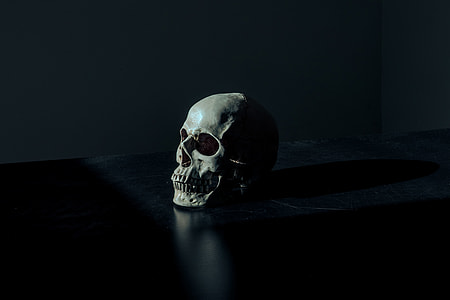 selective focus photography of white skull on black floor thumbnail