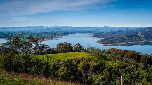selective focus photography of body of water surrounded by trees under white clouds and blue sky thumbnail