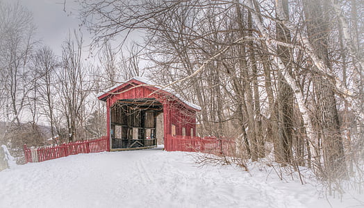 green and white cabin surrounded by snow thumbnail