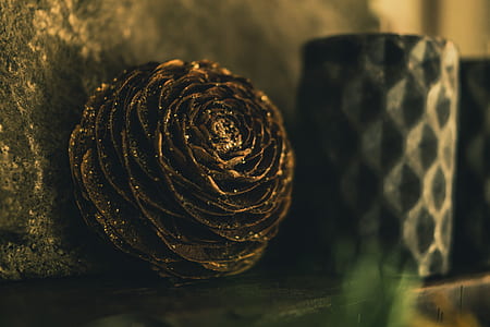 Close-up Photography of Golden Pine Cone thumbnail