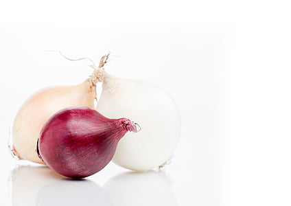 focus photo o onion bulbs thumbnail