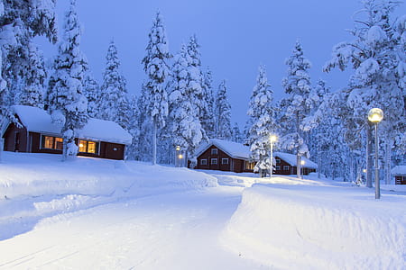 three brown houses on snow field thumbnail