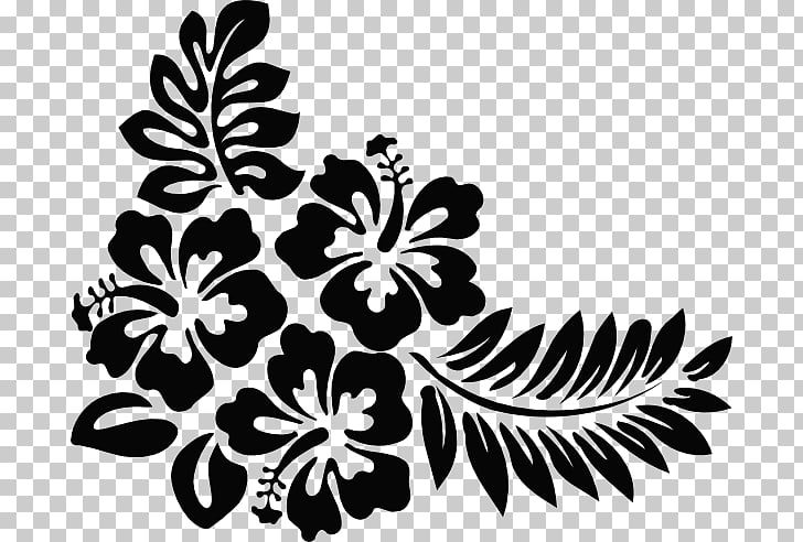 Shoeblackplant Hibiscus Tea Swamp Rose Mallow Hawaiian Hibiscus