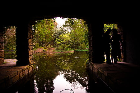 silhouette of two persons near body of water thumbnail