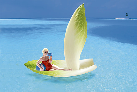 lettuce floating on body of water thumbnail