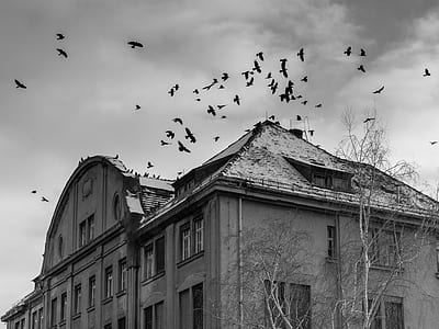 grayscale photo of building thumbnail