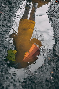 reflection of person in body of water at daytime thumbnail