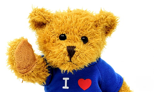 brown bear plush toy wearing blue shirt thumbnail