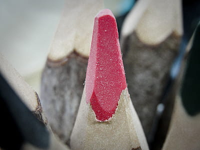 sharpen red pencil at daytime thumbnail