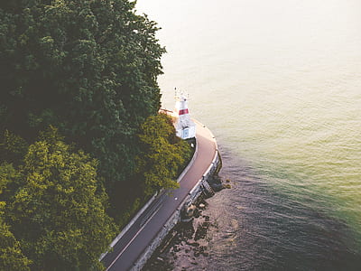 road beside body of water during daytime thumbnail