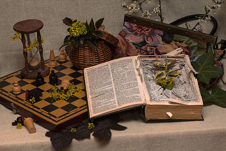 books and flowers on white table still life phoot thumbnail