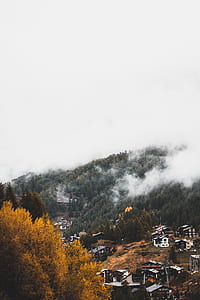 white and black abandoned house near burning pine trees thumbnail