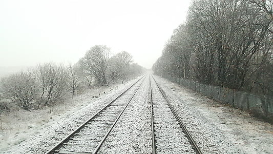 train rail near trees thumbnail