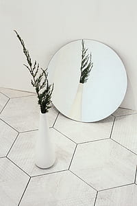 green leafed plant in vase thumbnail