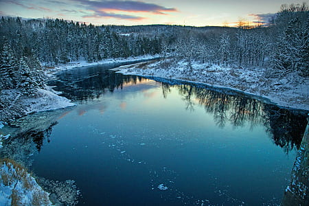 stream between pine trees covered snow at daytime thumbnail