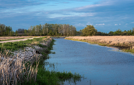 Channel at Horicon Marsh thumbnail