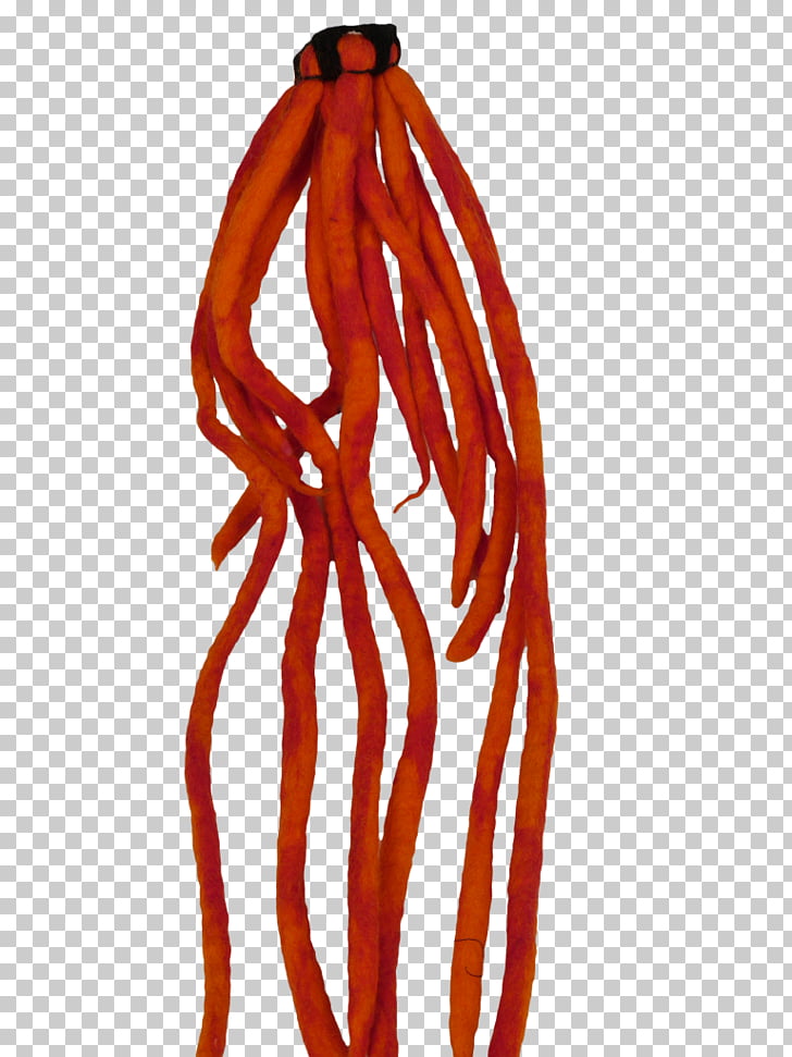Hair Tie Dreadlocks Clothing Accessories Hat Dreadlocks Png
