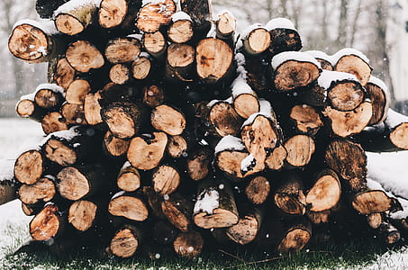 focus photography of pile of wood logs thumbnail