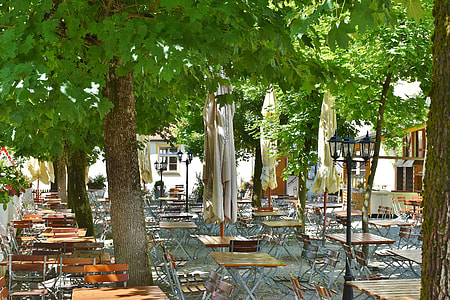 empty patio sets beside trees during day thumbnail